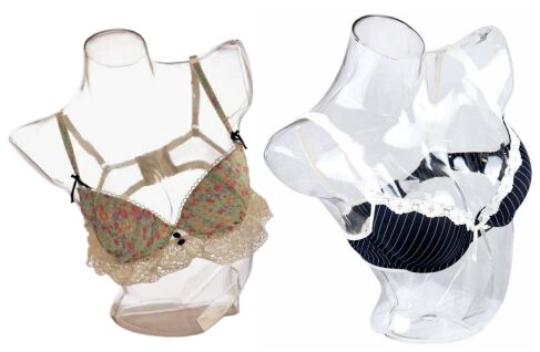 Clear Female Lingerie Display Torso,  Form Underwear Display