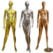 Buy Metallic Mannequin, Chrome Mannequin, Fashion Mannequin