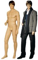 Buy Male Mannequin, Sexy Male Mannequin, Display Mannequin, Store Mannequin